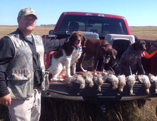 Three German Shorthaired Pointers on the Bed of a Truck with Pheasants and their Owner