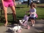 Young Girl with a Puppy in a Stroller