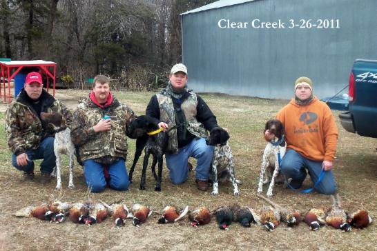 Hunters, Pheasants, and German Shorthaired Pointer during their Clear Creek 3-26-11