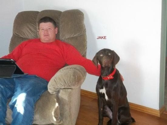 Owner Relaxing with his German Shorthaired Pointer