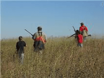 Group of Hunters Pheasant Hunting
