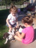 Two Little Girls and Their New Puppies