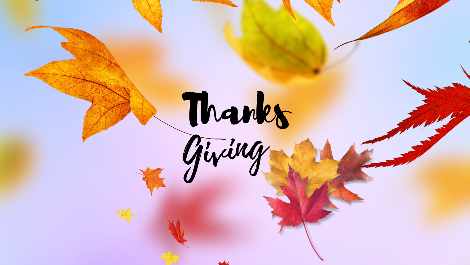 Thanksgiving. Give Thanks. Experience Blessings