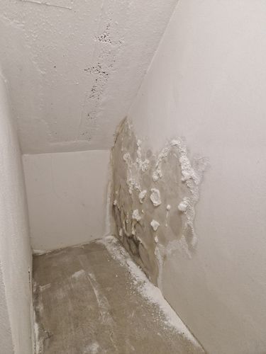Feuchter, schimmelbelasteter Kellerraum Kellerraum mit Schimmel und salzbelasteten Wänden