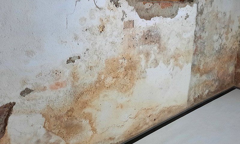 feuchte Wand mit Schimmelbildung