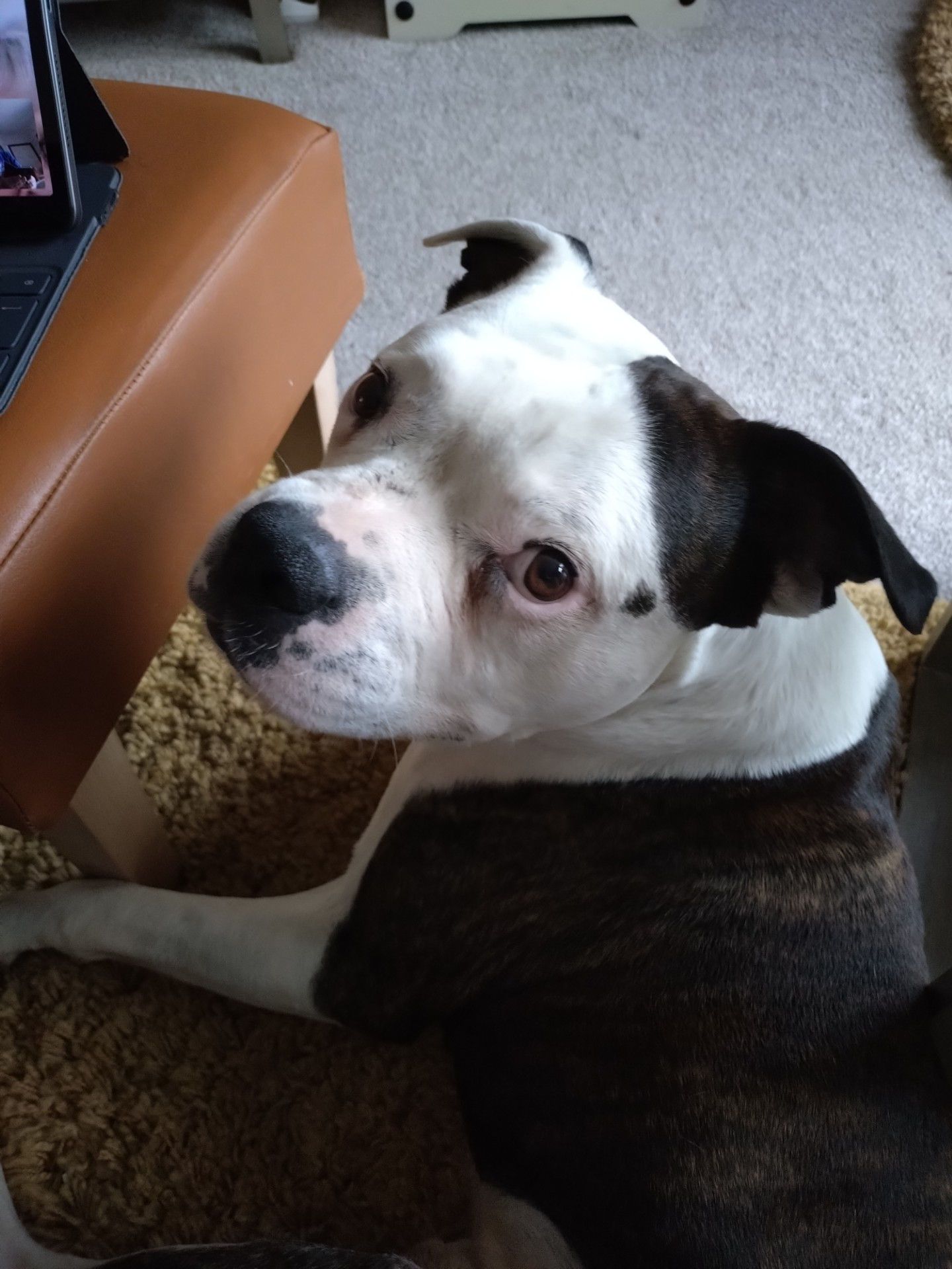 Milly, relaxing at Dungeonland Milly