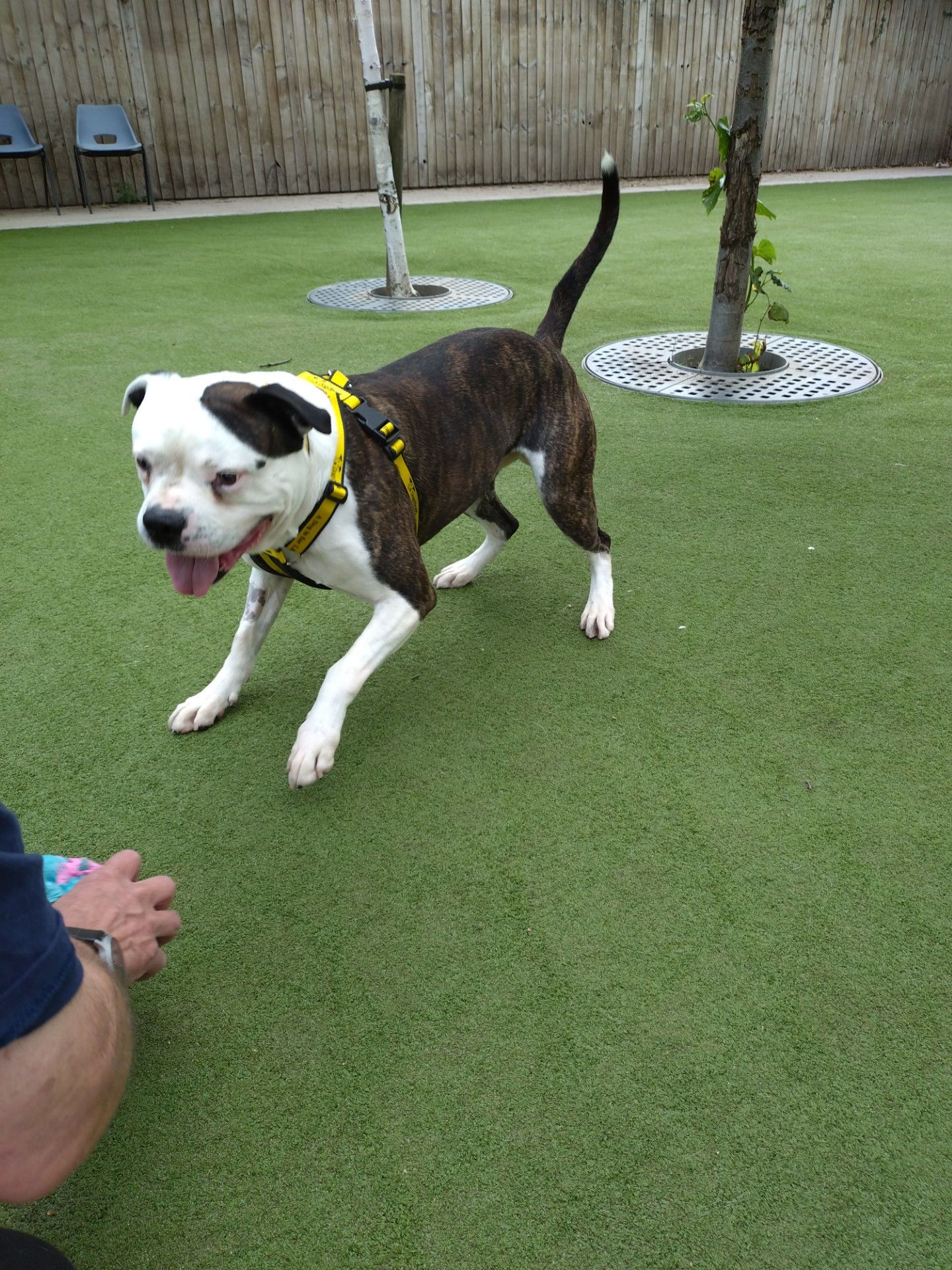 Milly, relaxing at Dungeonland Milly