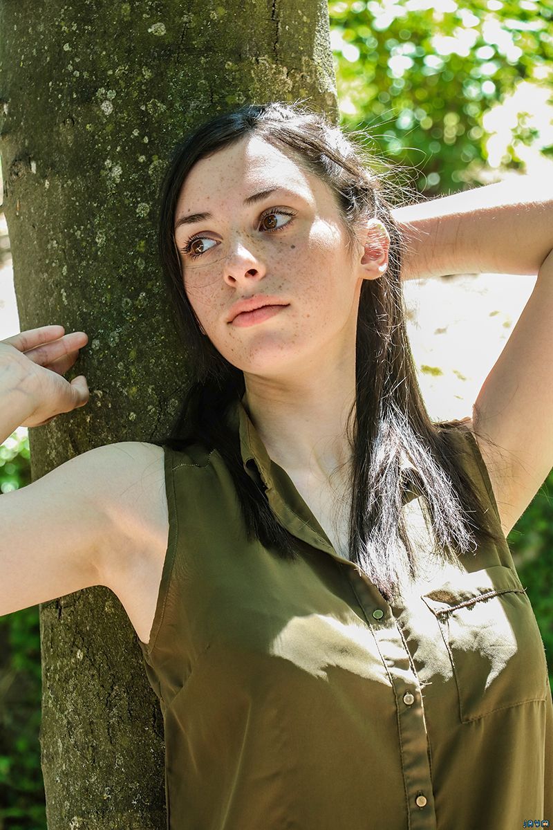 Puissance magnétique des arbres