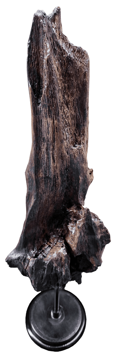 Vue de dessus de l'oeuvre au fil des saisons, sculpture signé par l'artiste de Durtol JAYM !