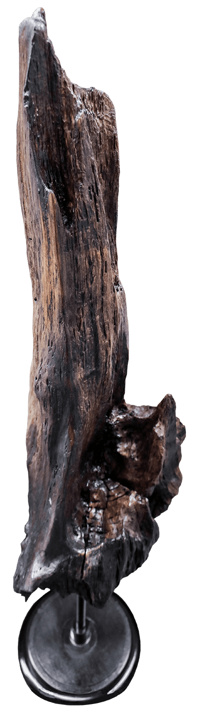 Sculpture qui représente les 4 saisons, elle a ét immergé dans l'eau pendant 4 ans au fil des saisons, signé de l'artiste JAYM