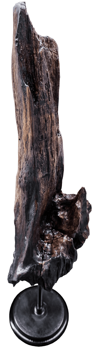 Piece en chaine, sculpté par l'artiste Jaym après avoir était veilli en immersion dans un étang du puy-de-dôme