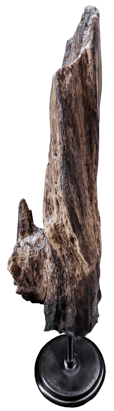 Bois de chaîne sculpté par l'artiste Jaym, oeuvre qui représente le temps qui passe.