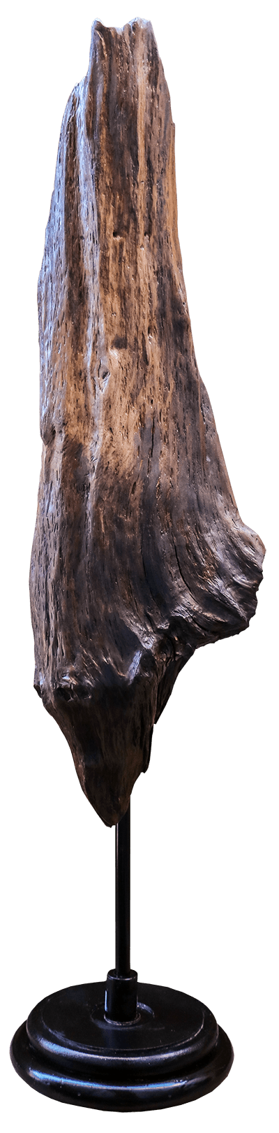 Sculptue en bois oublié pendant des années au fond d'un etang auvergnat, sculpture signé JAYM