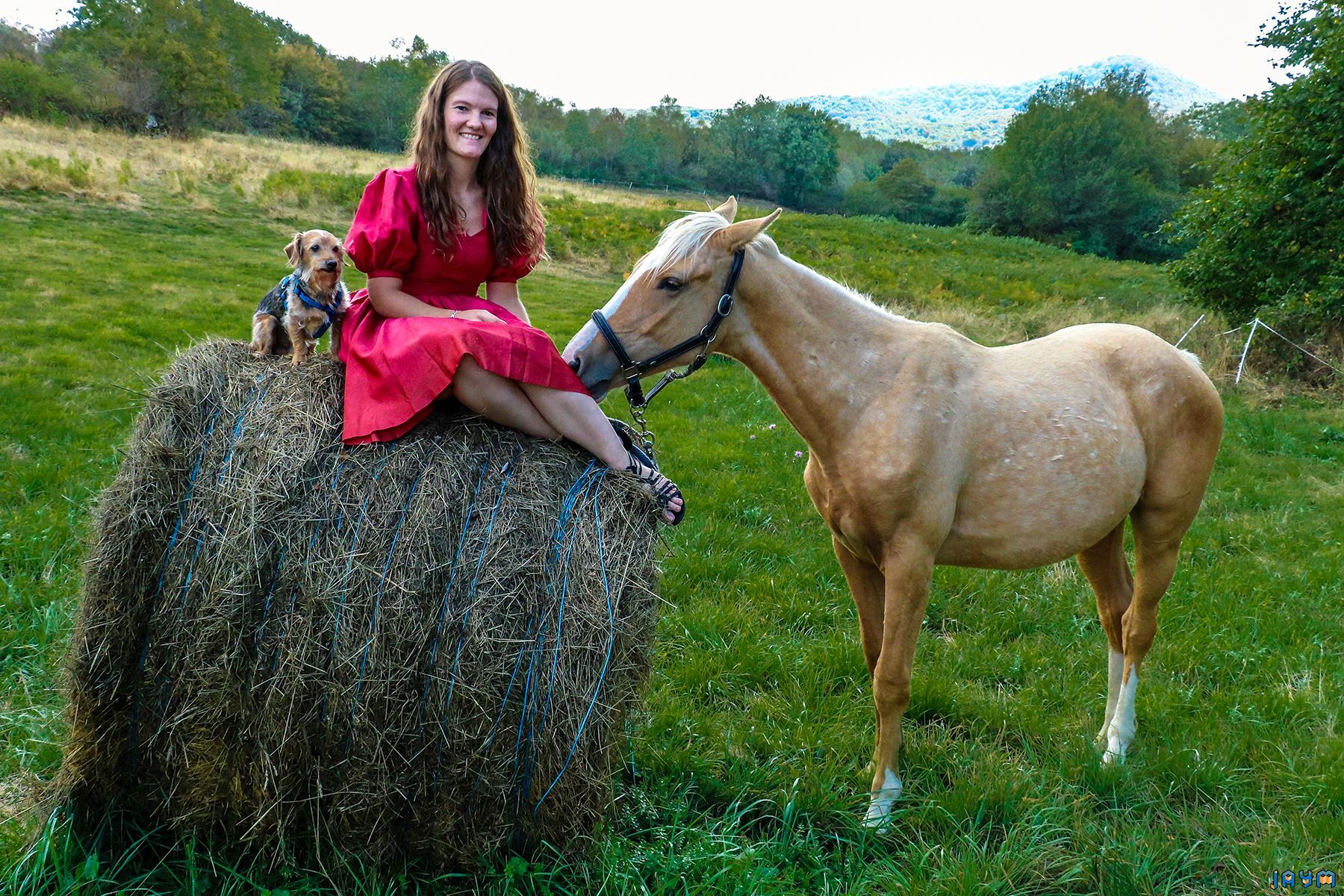 Shooting de Celyne Un cheval, un chien et une femme sexy.