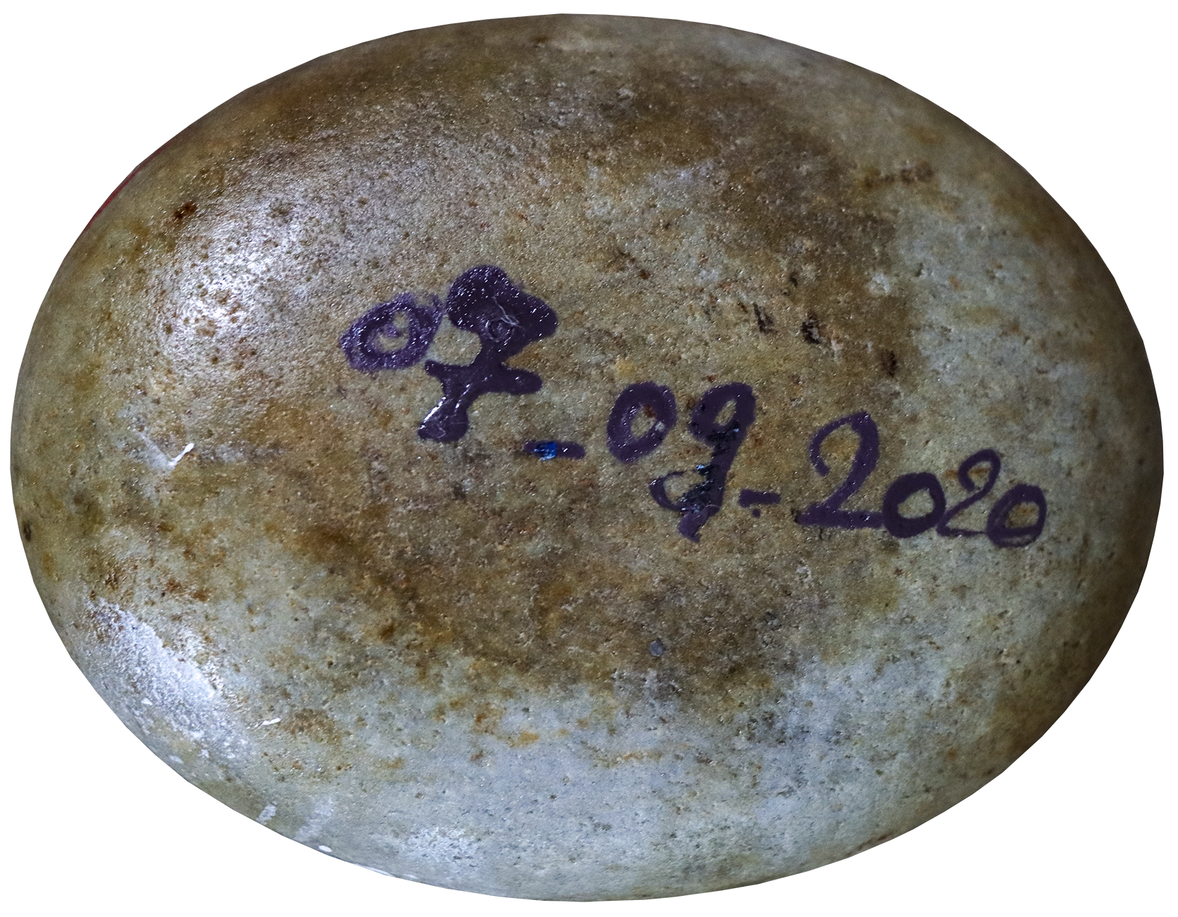 Chats de gouttières