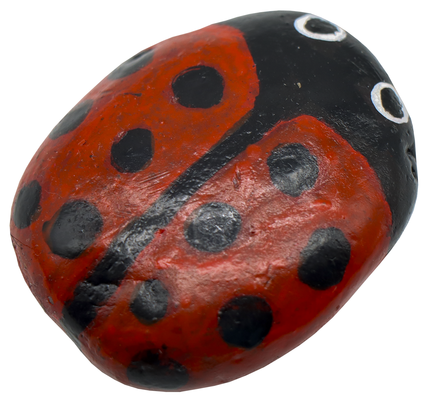 Coccinellidae