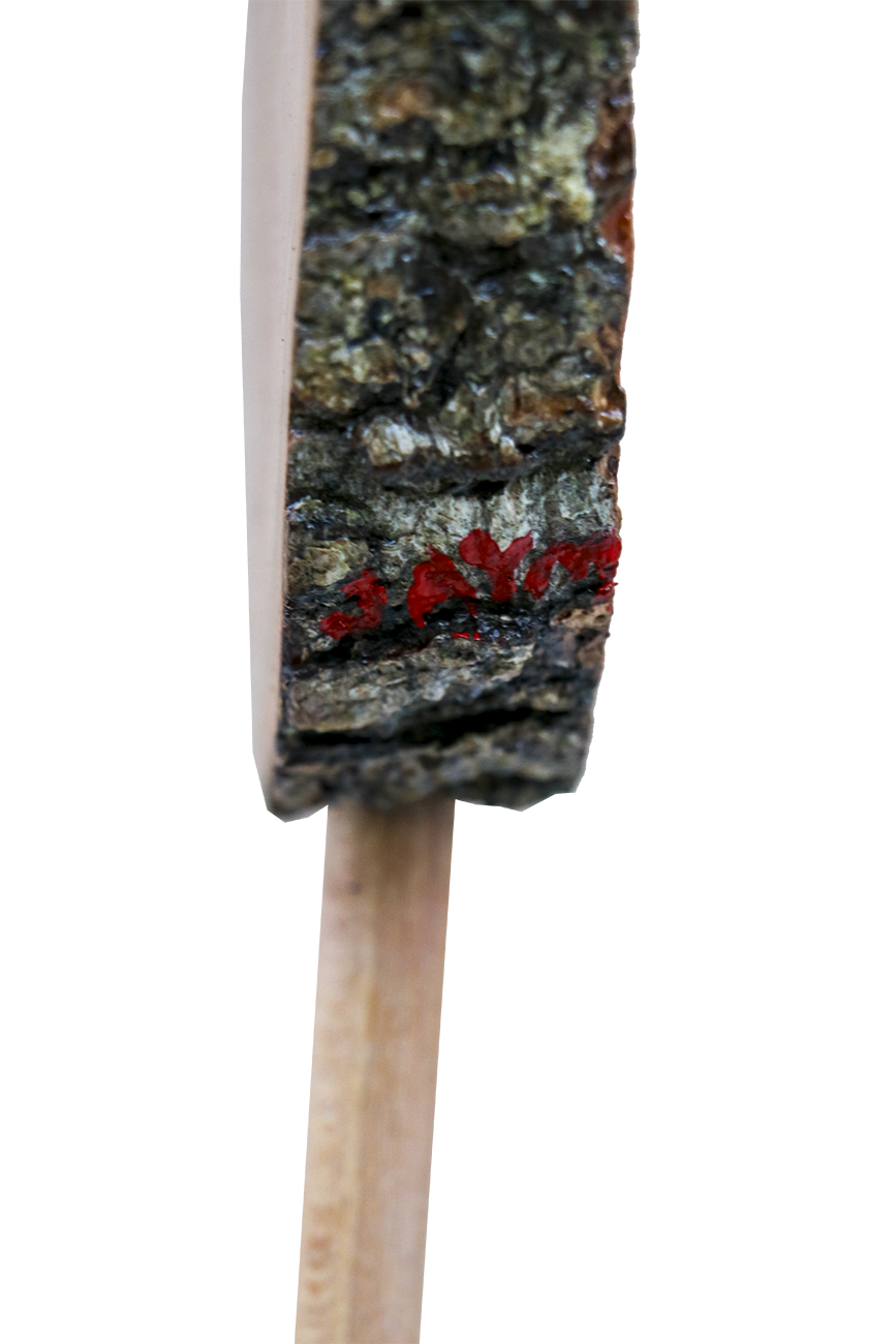 Sculpture brute