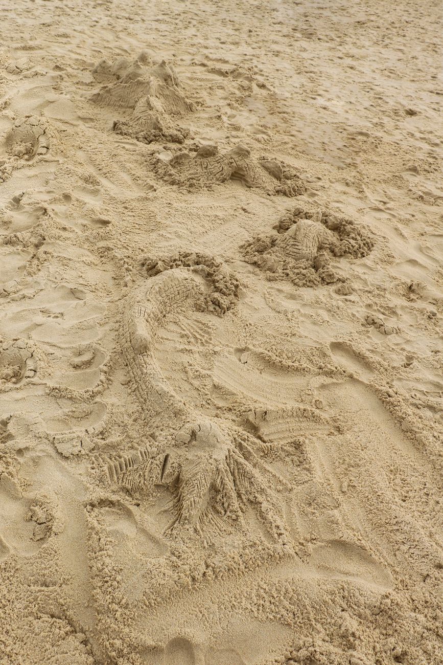 Apparition d'un dragon dans les Landes.
