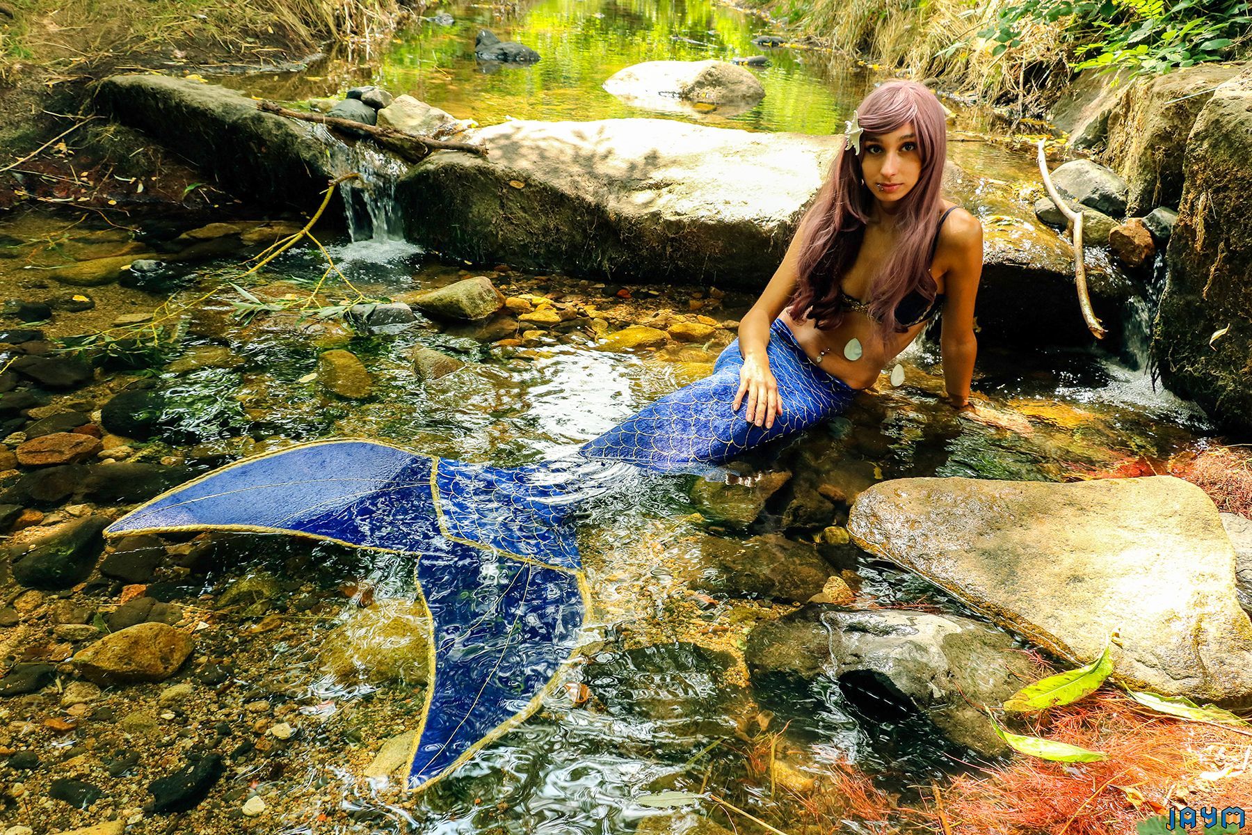 Véritable sirène aperçu dans le Puy-de-Dôme