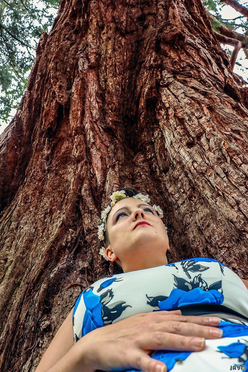 Au pied d'un arbre majestueux