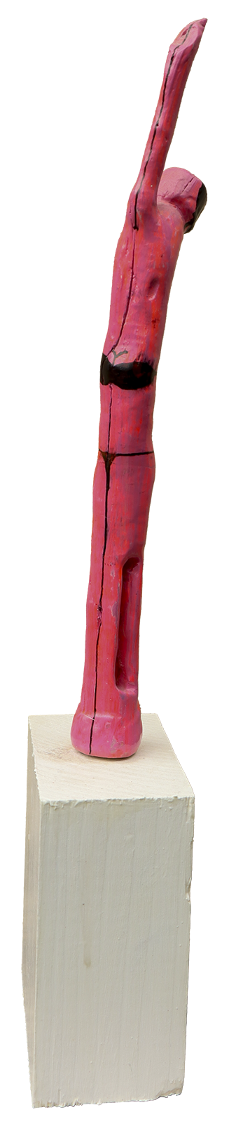 Femme en bikini.