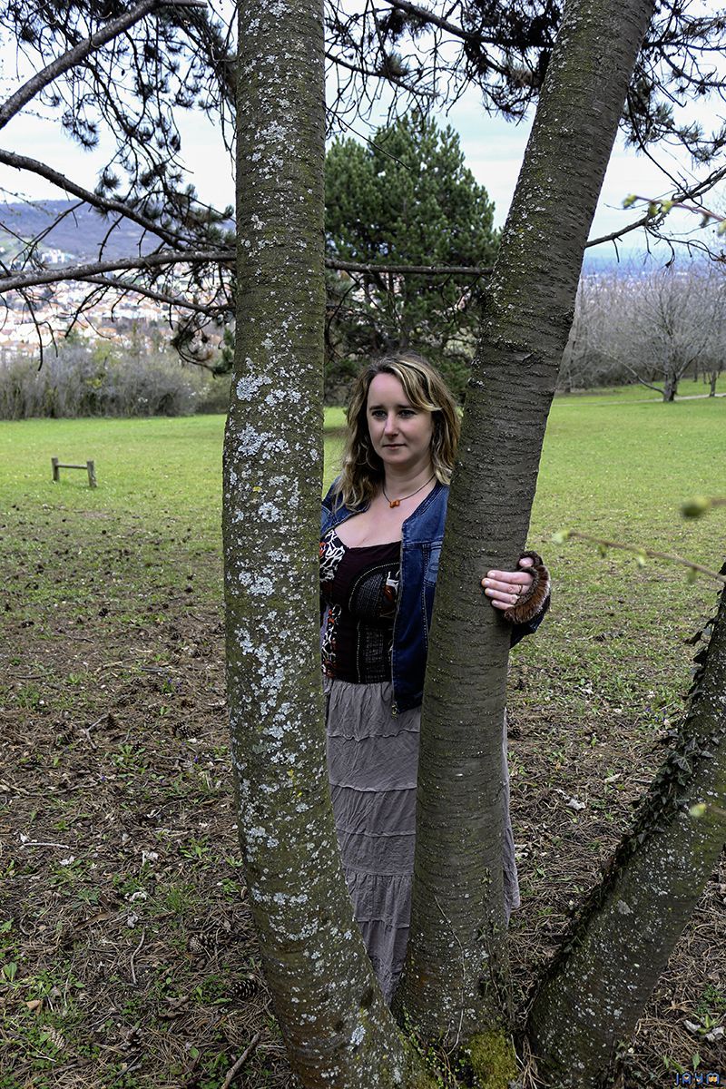 Grosse entre les arbres