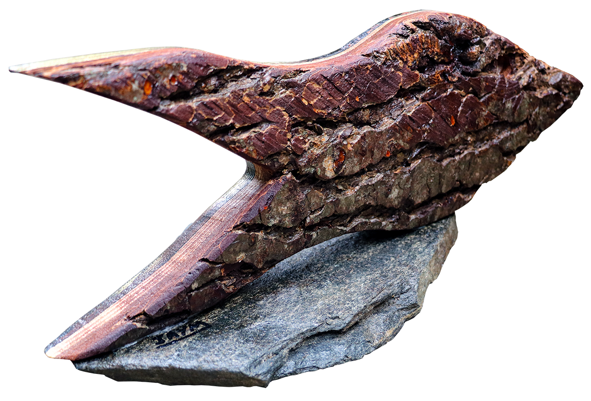 Sculpture de poisson signé par l'artiste durtolois, proche clermont-Ferrand : JAYM.