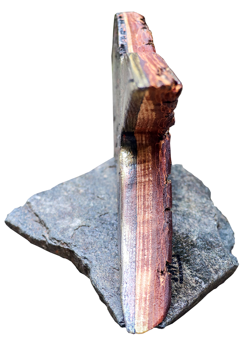 Tranche de la queue de la sculpture Poisson doré, signé par l'artiste palsticien Jaym