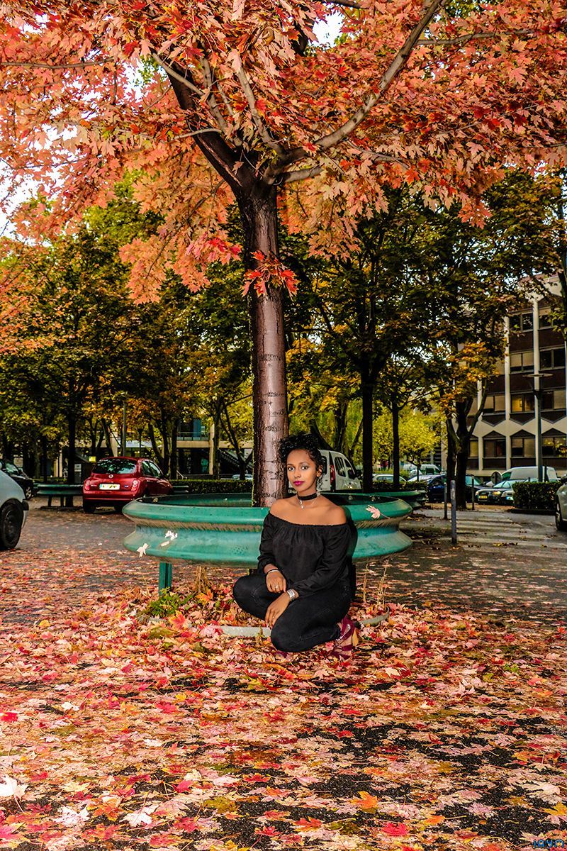 Sous les feuilles d'automne
