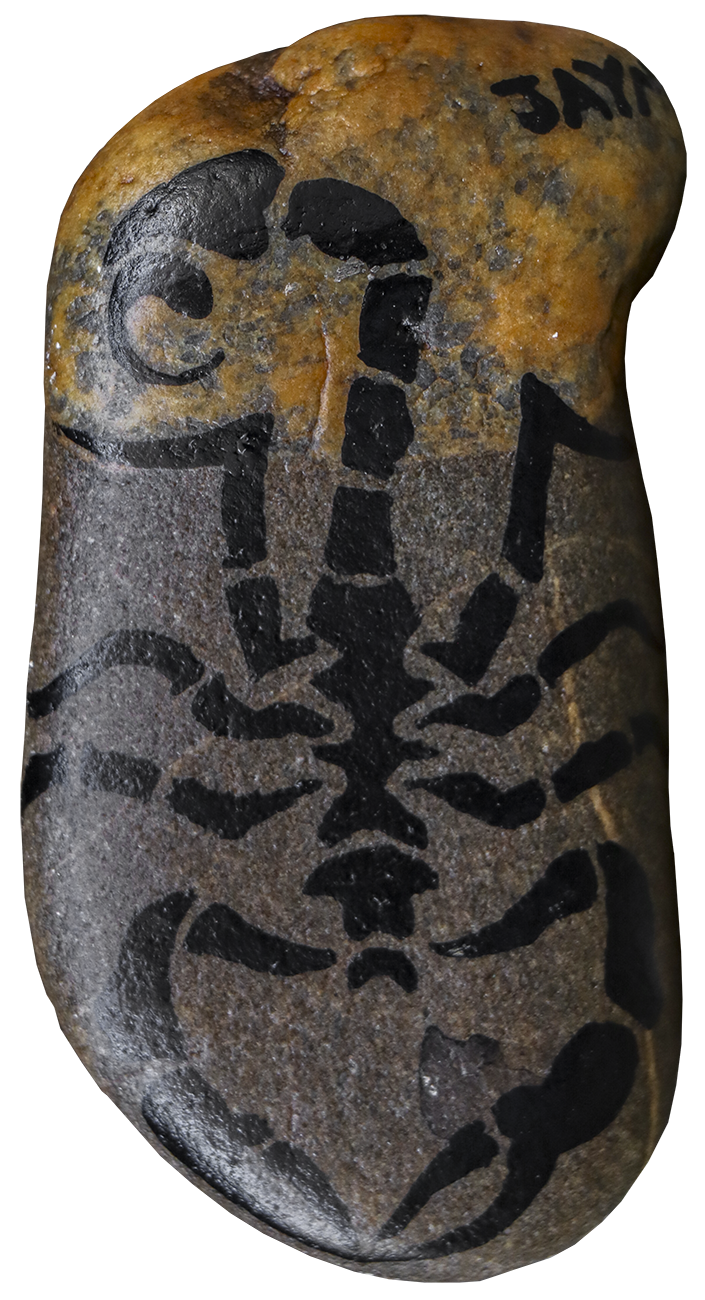 Scorpion