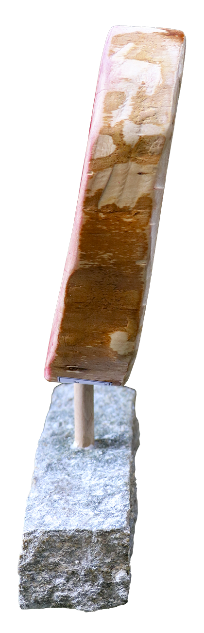 Couper du bois.