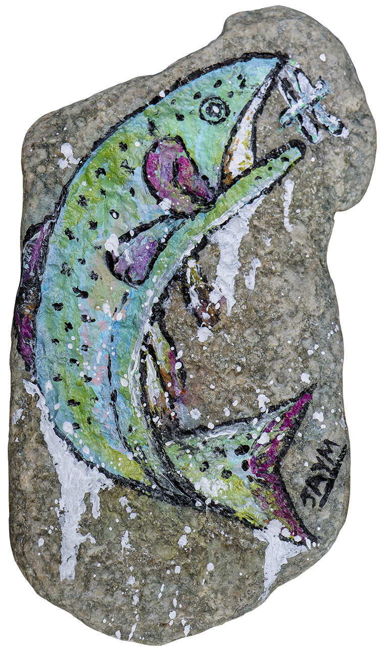 Galets peints Trouves ton galet !