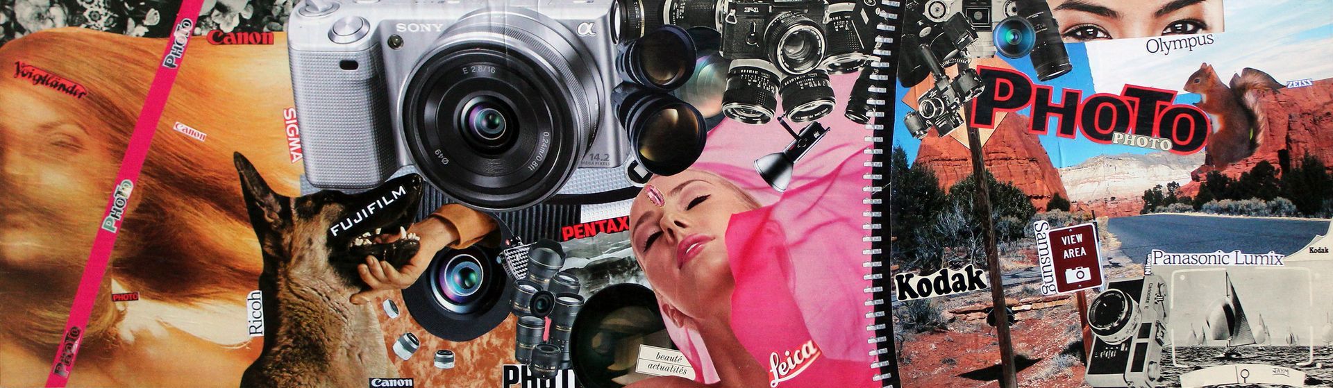 Nikon, Canon, Fujifilm, Kodak, Sony, Panasonic, Pentax, Studio Photo, Polaroïd