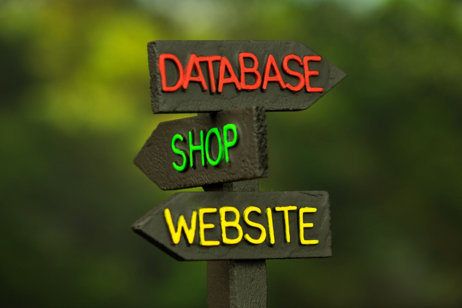 bild fuer die seite links