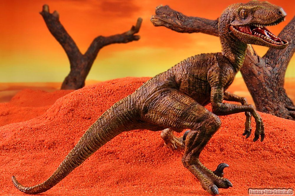 foto eines Velociraptor dinosauriermodells