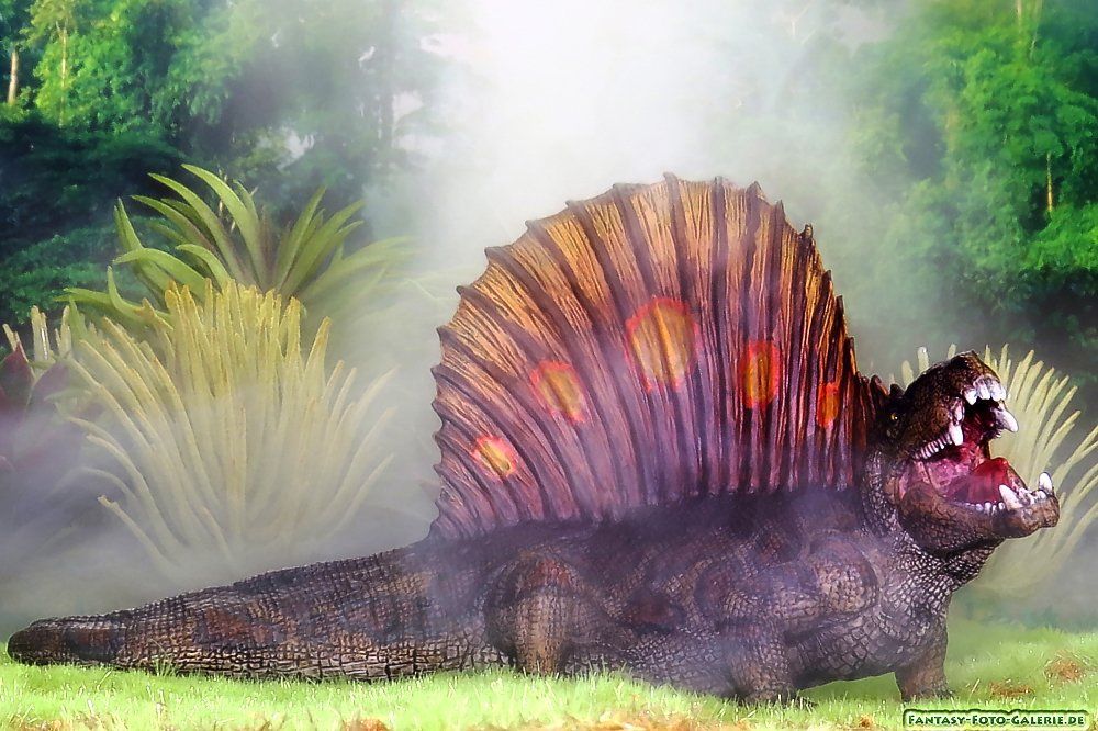 ein modell eines Dimetrodons