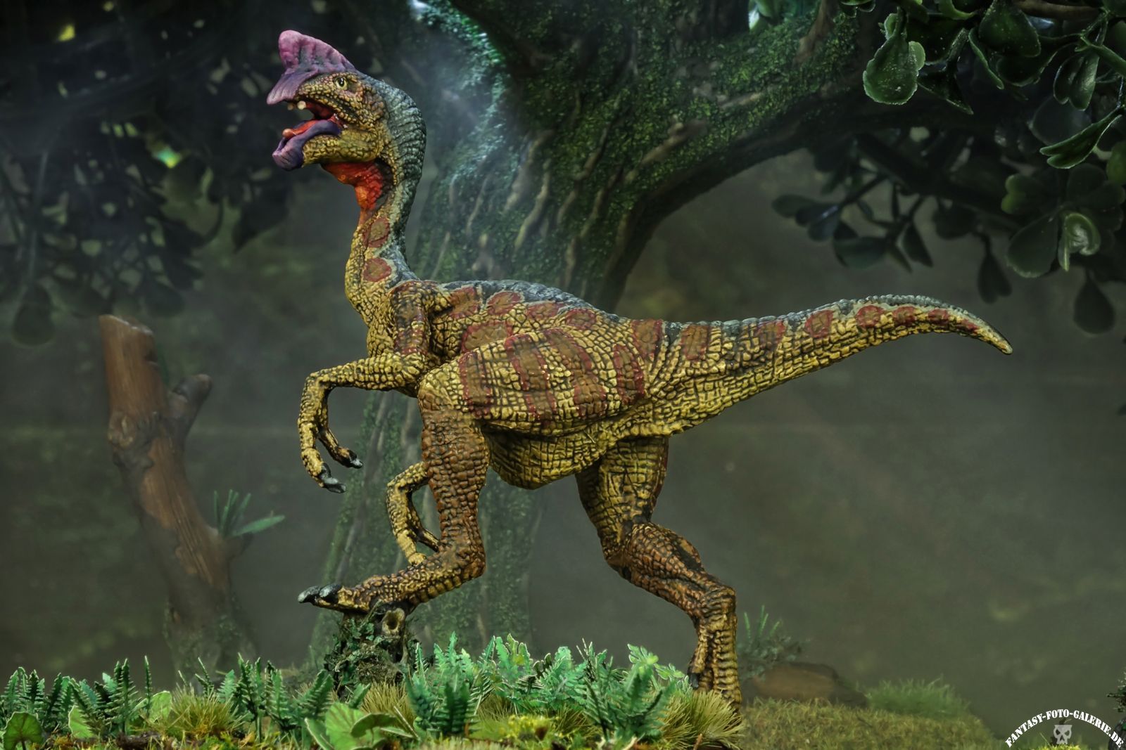 diorama mit einem Oviraptor