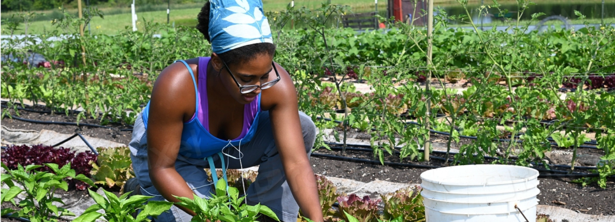 Farmer. Photo: USDA, via flickr