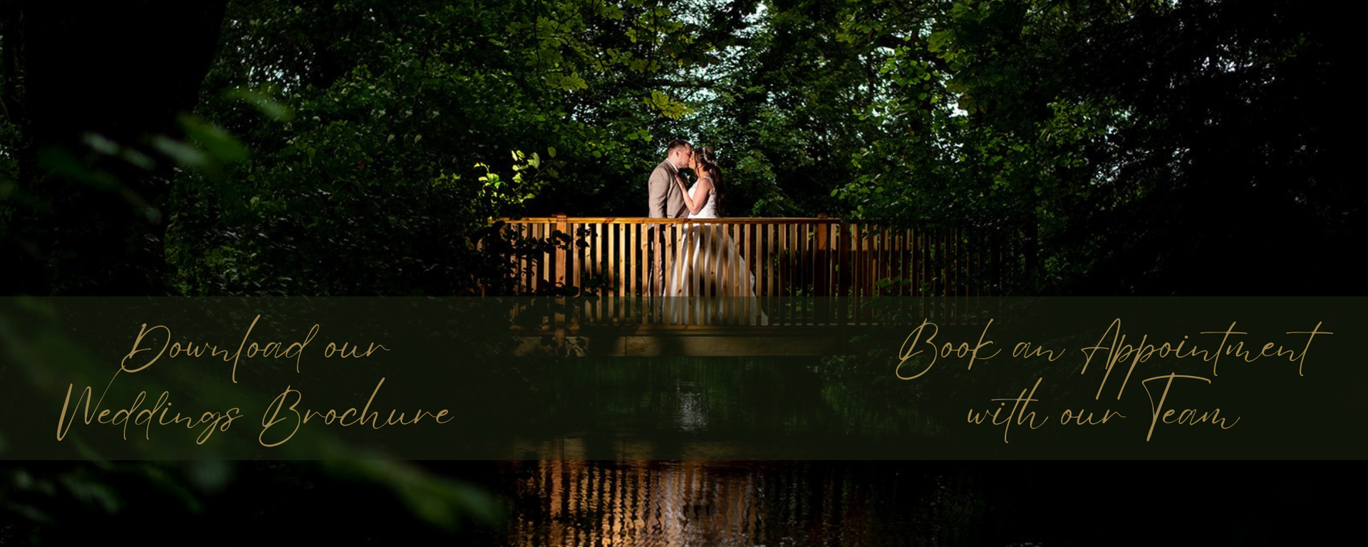 Outdoor wedding ceremony, garden wedding ceremony in Warwickshire. Dog friendly wedding. Horse friendly wedding.