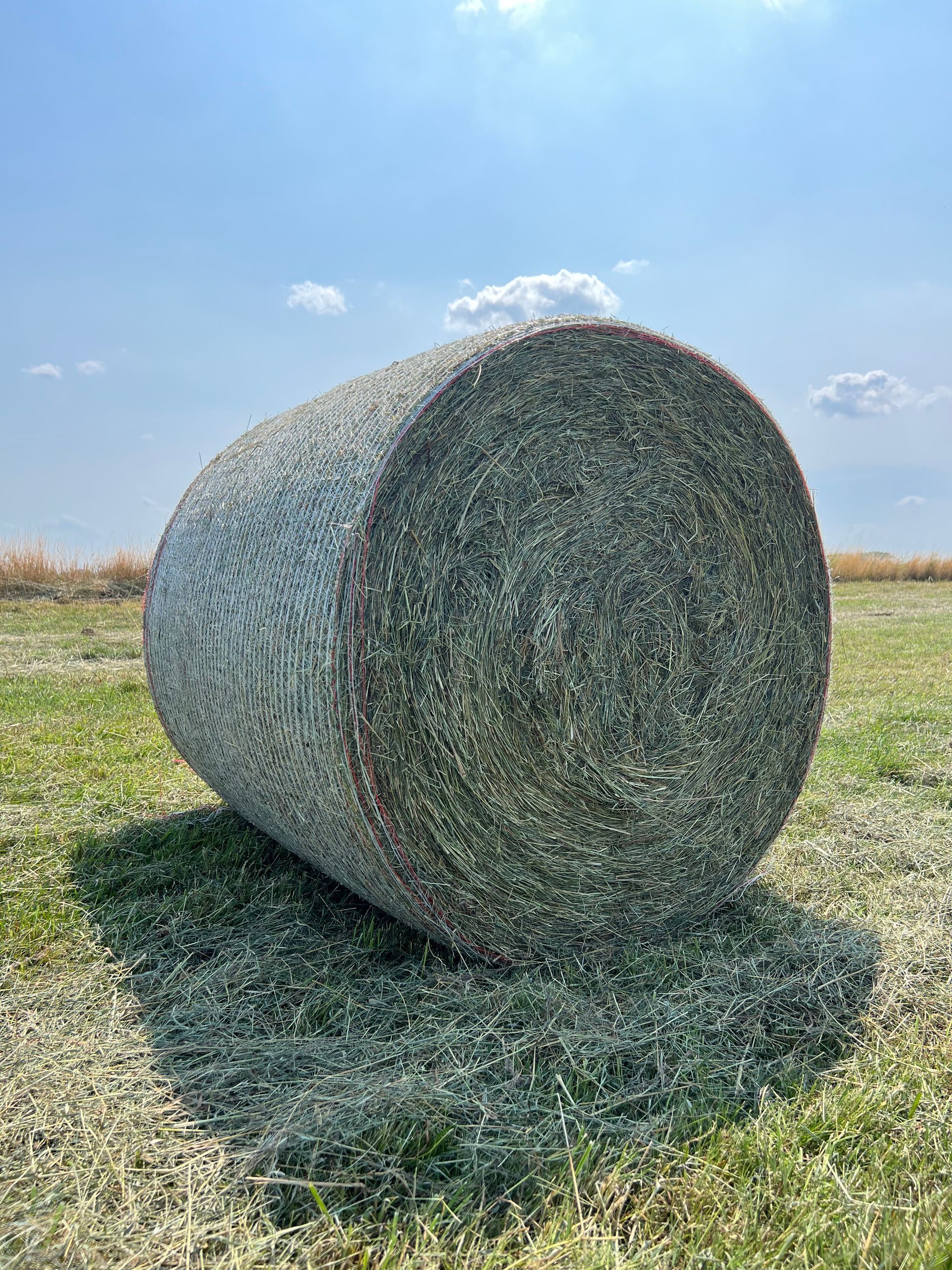 Rundballen Pferdeheu