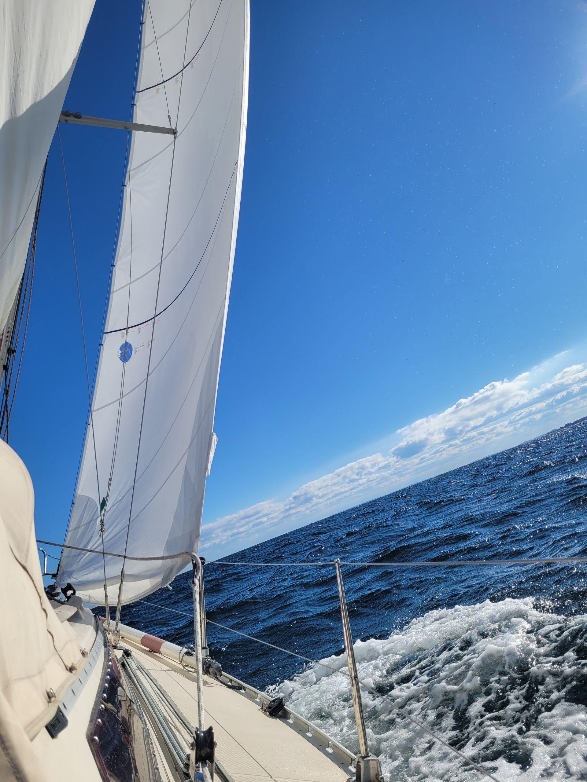 Segel im Wind
