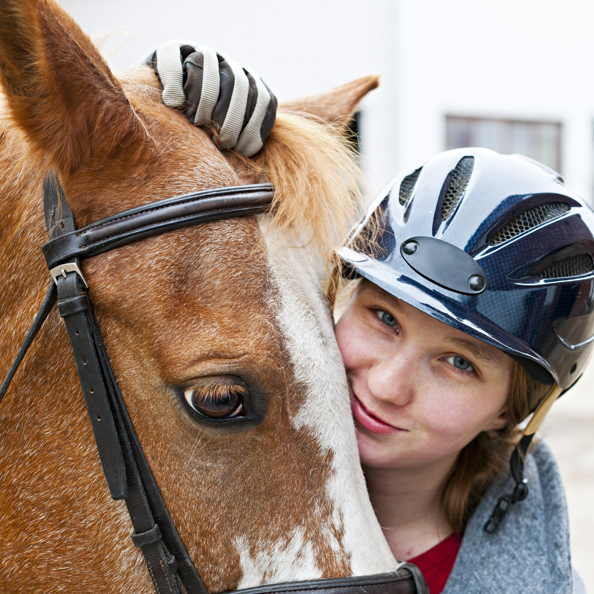 Horse Riding Horse Riding