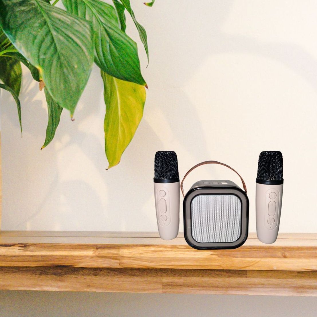 small bluetooth speaker and karaoke microphones