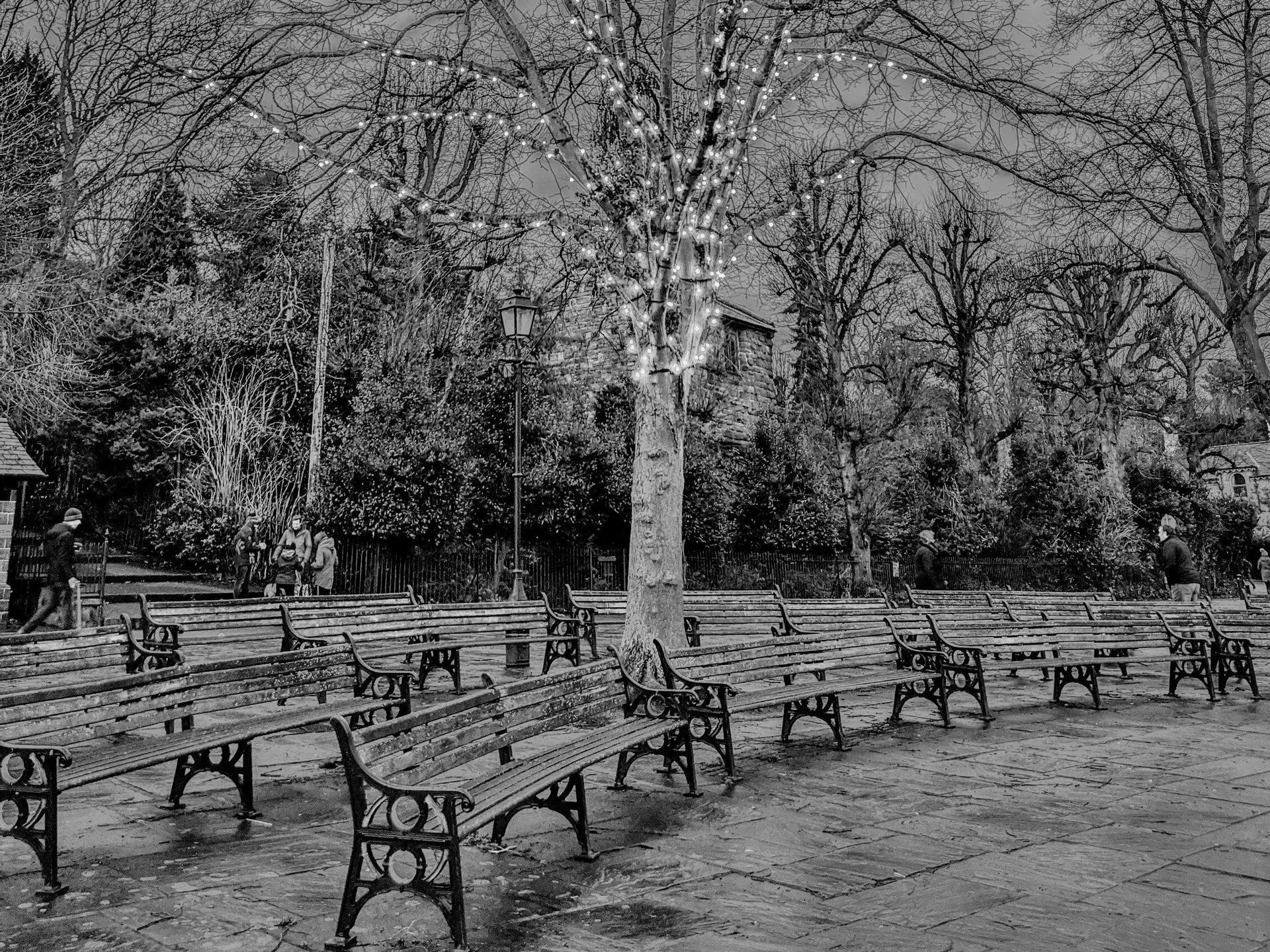 the groves n winter