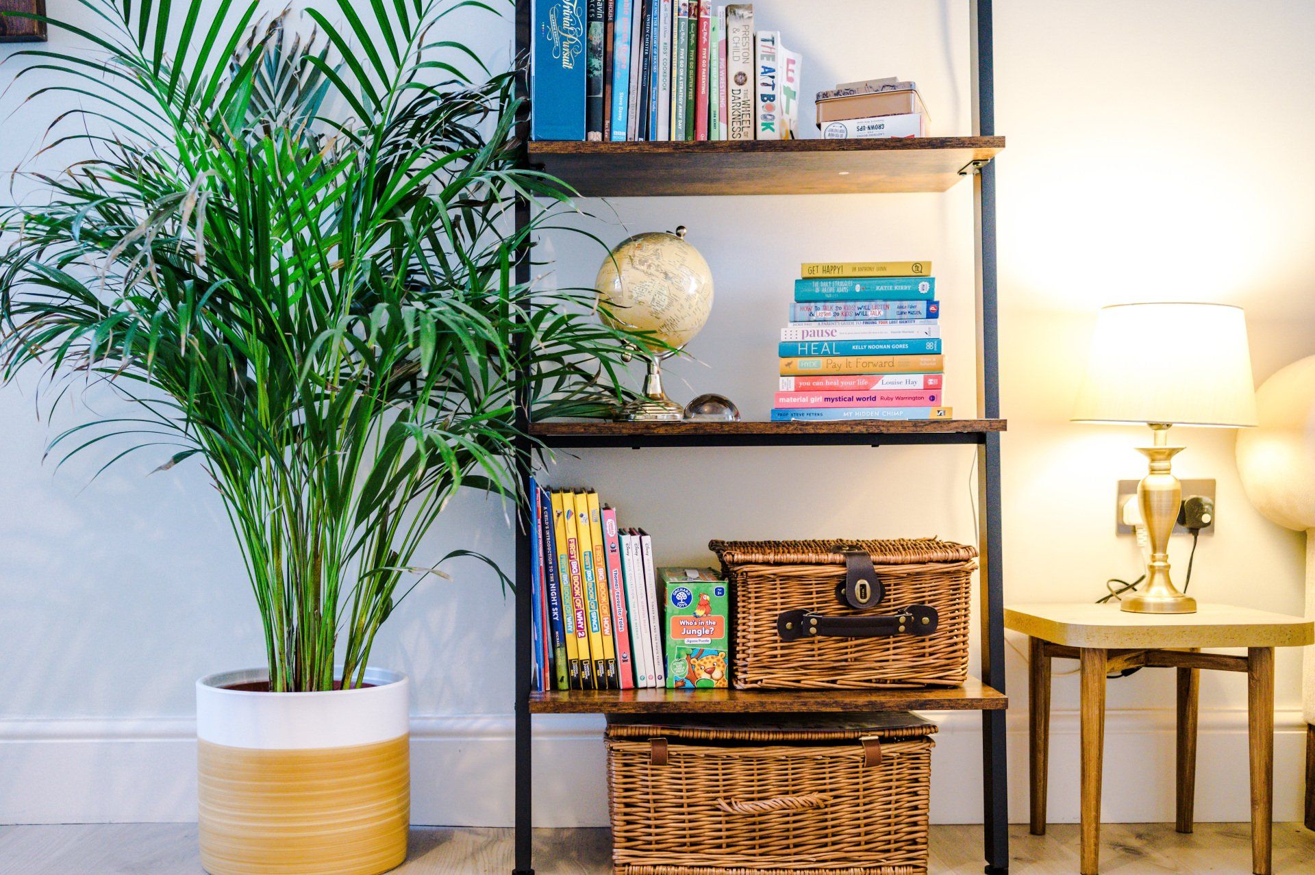 bookshelf, large plant and side table with lamp
