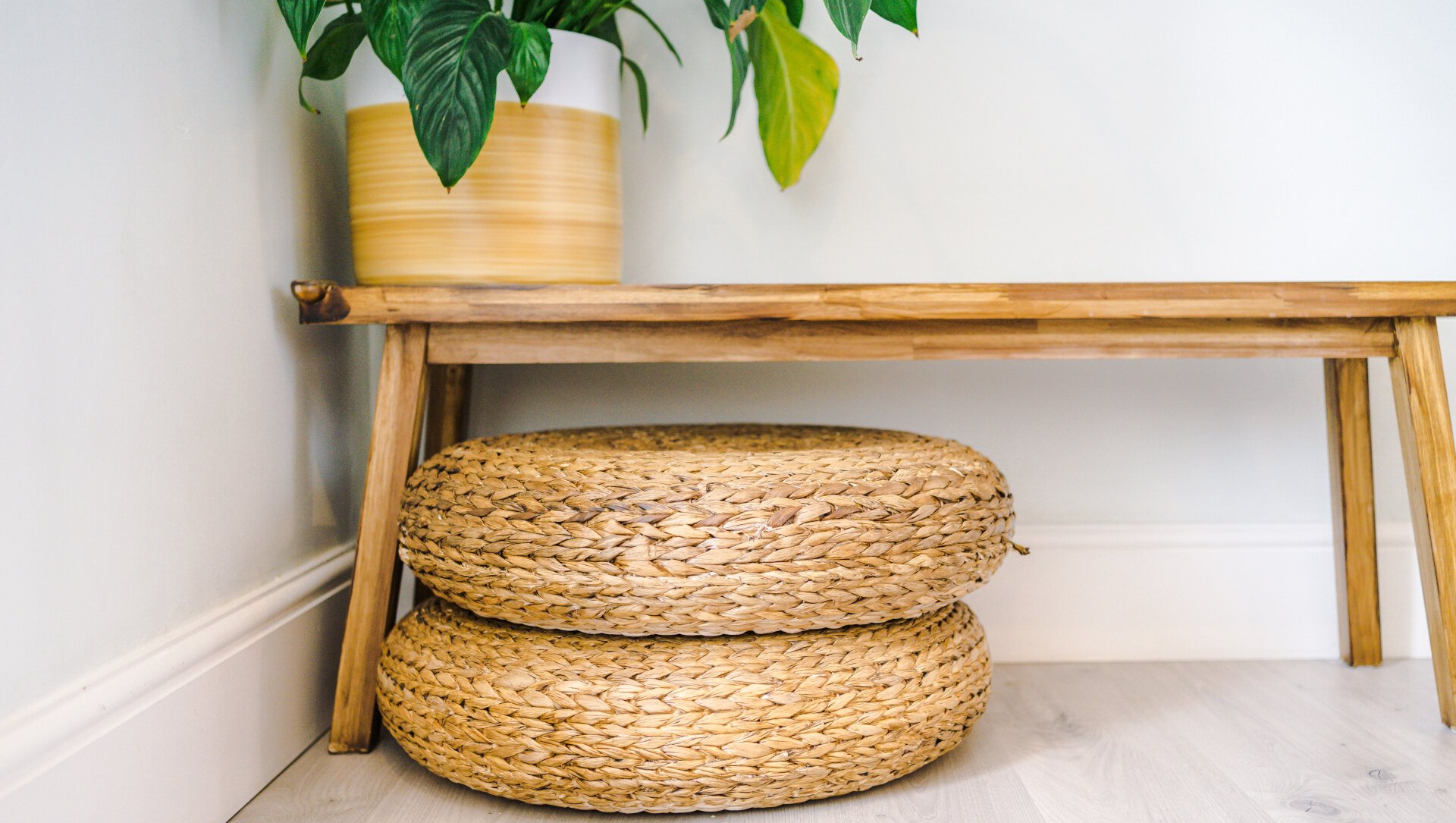 plants and wooden bench
