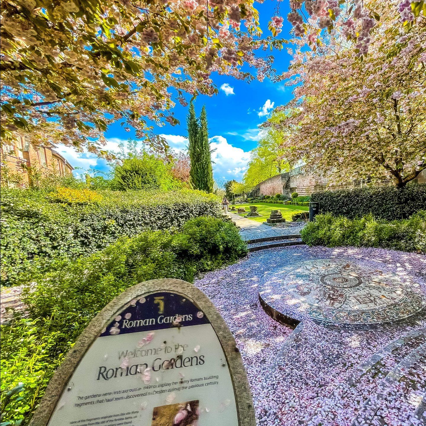 Cobbled street with victorian houses in spring