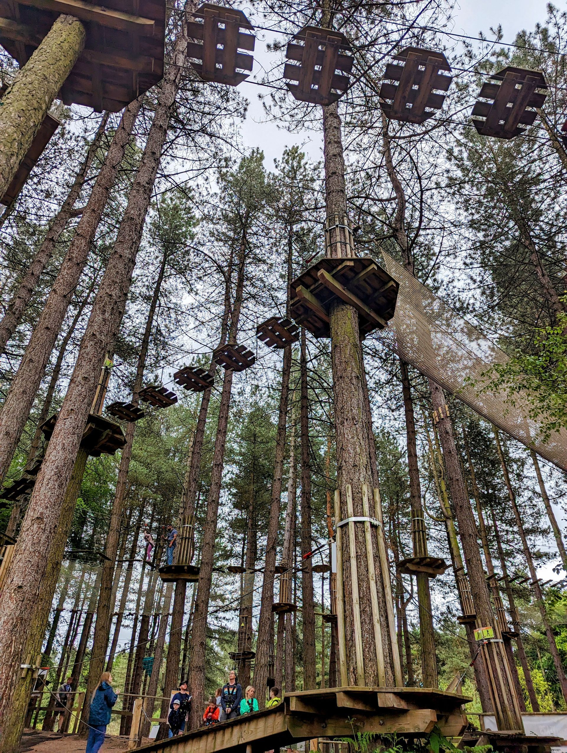 go ape delamere forest