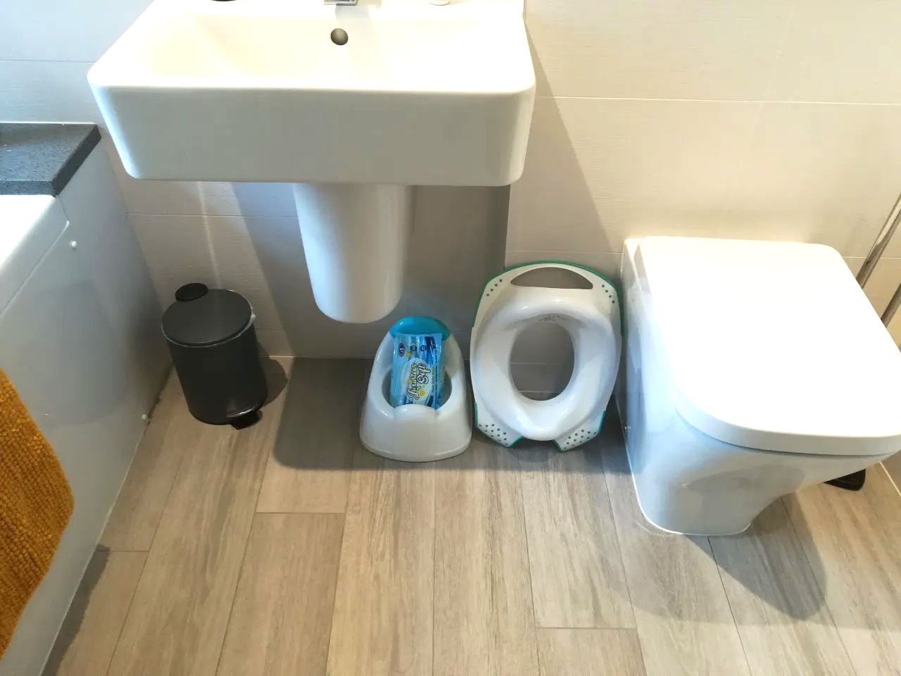 toddler potty and training seat