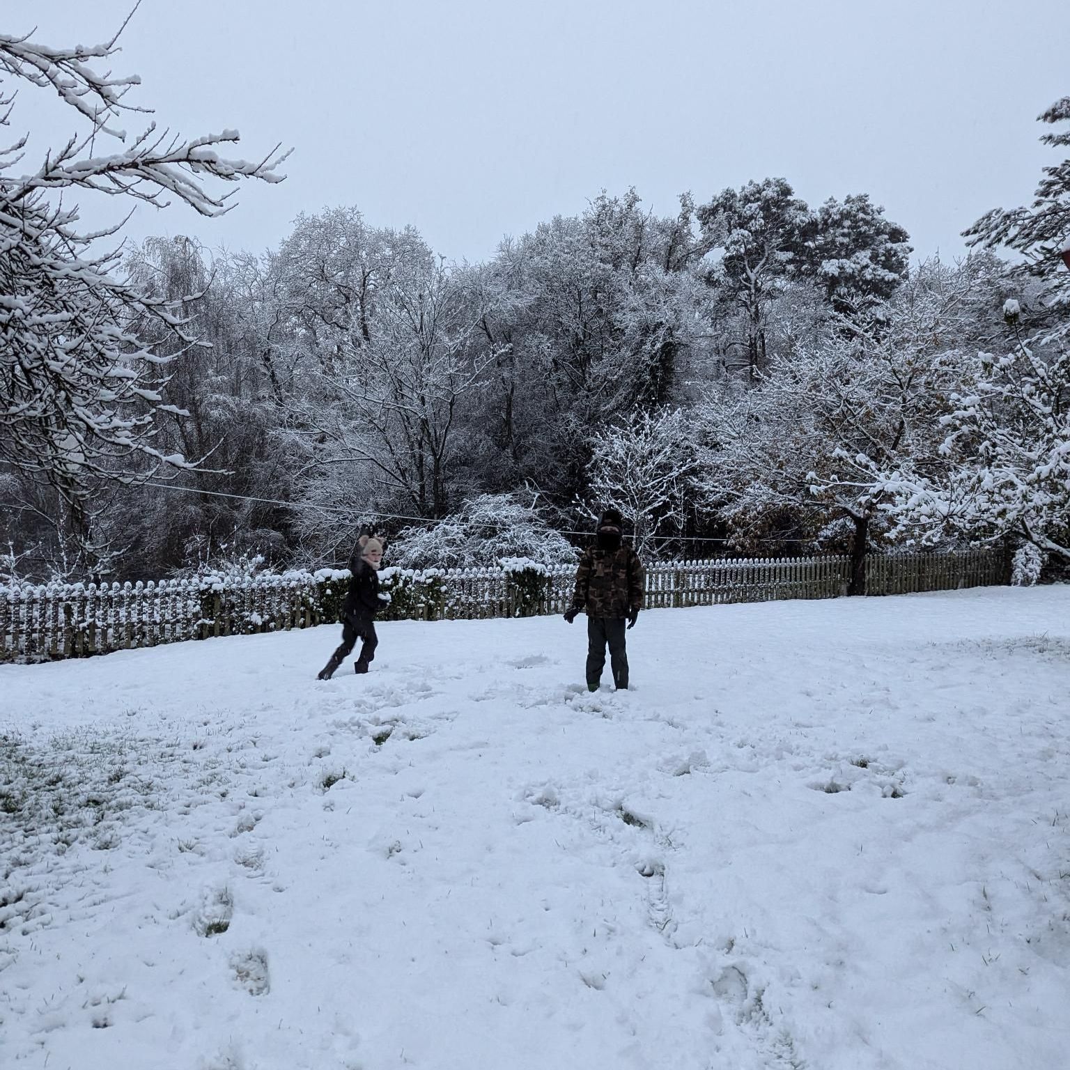 sow on the roof of the victorian bandstand by the wintery river dee